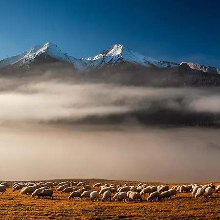 Pensjonat Sova Hotel&restaurant