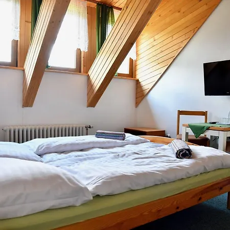 Guest house Sova Hotel&restaurant 3*