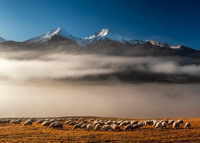 Πανσιόν Sova Hotel&restaurant